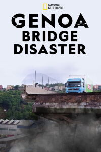 El desastre del puente de Génova (2019)