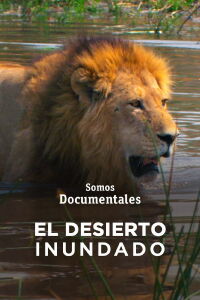 El desierto inundado (2021)
