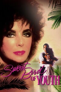 El Dulce Pájaro de la Juventud (1989)