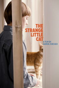 El extraño gatito (2013)