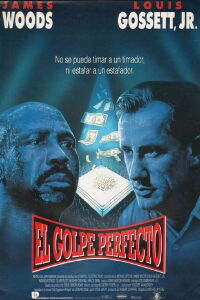 El golpe perfecto (1992)