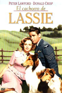 El hijo de Lassie (1945)