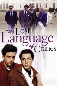 El lenguaje perdido de las grúas (1992)