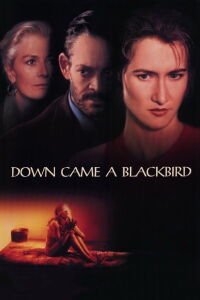 El ocaso (1995)