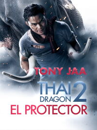 El Protector 2 (2013)