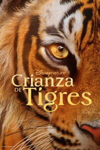 El resurgir de los tigres (2024)