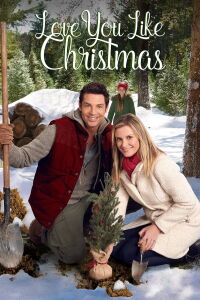 El valle de la Navidad (2016)