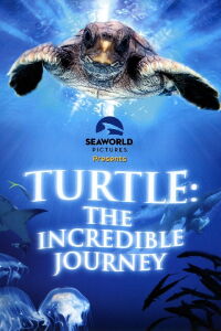 El viaje de la tortuga (2009)