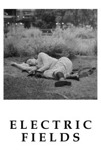 Electric Fields (2024)