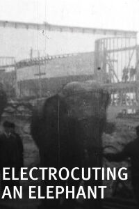 Electrocuting an Elephant (1903)