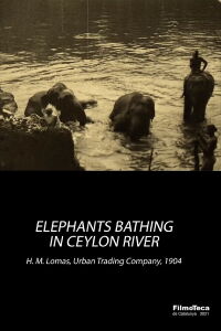 Elephants Bathing in Ceylon River (1904)