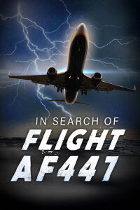 En busca del vuelo AF447 (2019)