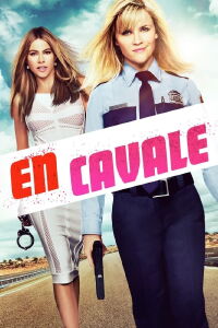 En cavale (2015)