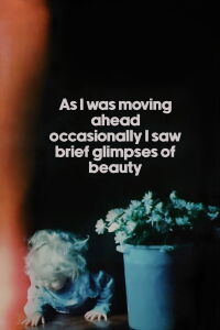 En el camino, de cuando en cuando, vislumbré breves momentos de belleza (2000)