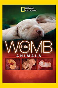 En el vientre materno: Animales (2006)