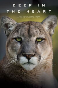 En lo profundo del corazón (Deep in the Heart: A Texas Wildlife Story) (2022)
