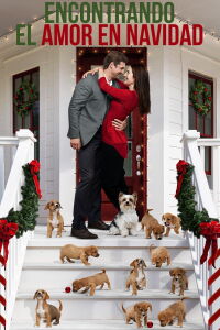 Encontrando el amor en Navidad (2019)
