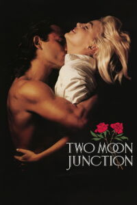 Encrucijada de pasiones (1988)