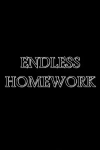 Endless Homework (2024)