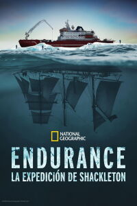 Endurance (2024)