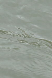 entre les vagues (un hommage) (2023)