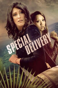 Entrega especial (2008)