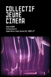 Environment II (1980)