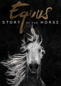 Equus, une histoire de chevaux et d'hommes (2019)
