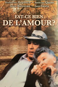 Est-ce bien de l'amour ? (1994)