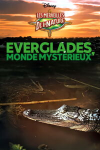 Everglades, monde mystérieux (1953)