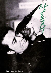 Evergreen Tree (1961)