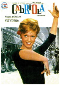 Every Day Is a Holiday (1965)