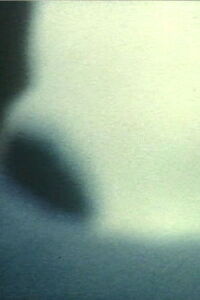 feeling of night (2007)