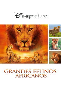 Felinos de África (2011)