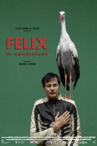 Felix in Wonderland (2019)