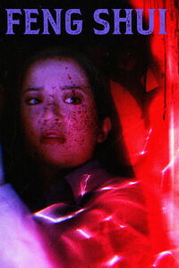 Feng Shui (2004)