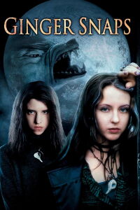 Feroz (2000)
