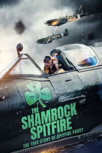 Feu de brousse à shamrock (2024)