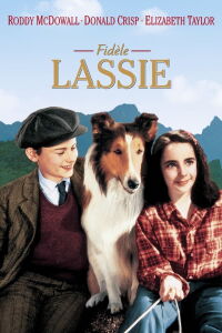 Fidèle Lassie (1943)