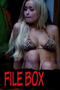 File Box (2013)