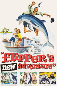Flipper y los piratas (1964)