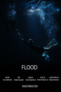 Flood (2019)