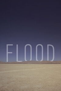 Flood (2012)