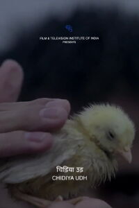 Fly, Bird (2014)