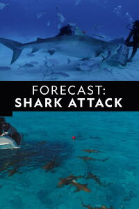 Forecast Shark Attack (2019)