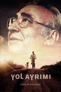 Fork in the Road (2017)