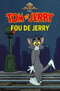Fou de Jerry (1965)
