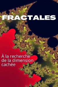 Fractales, à la recherche de la dimension cachée (2008)