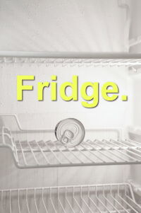 Fridge (2022)