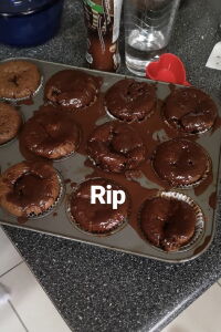 Ganache Day (2019)
